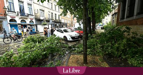 Vent, trombe d'eau, grêle: les images de l  .